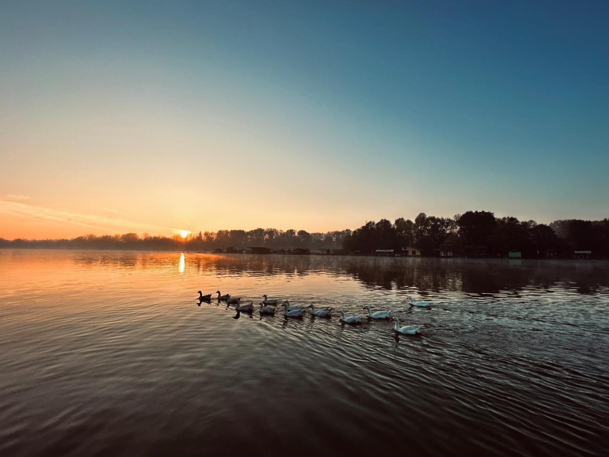 Swan Hotel Belgrade Luaran gambar