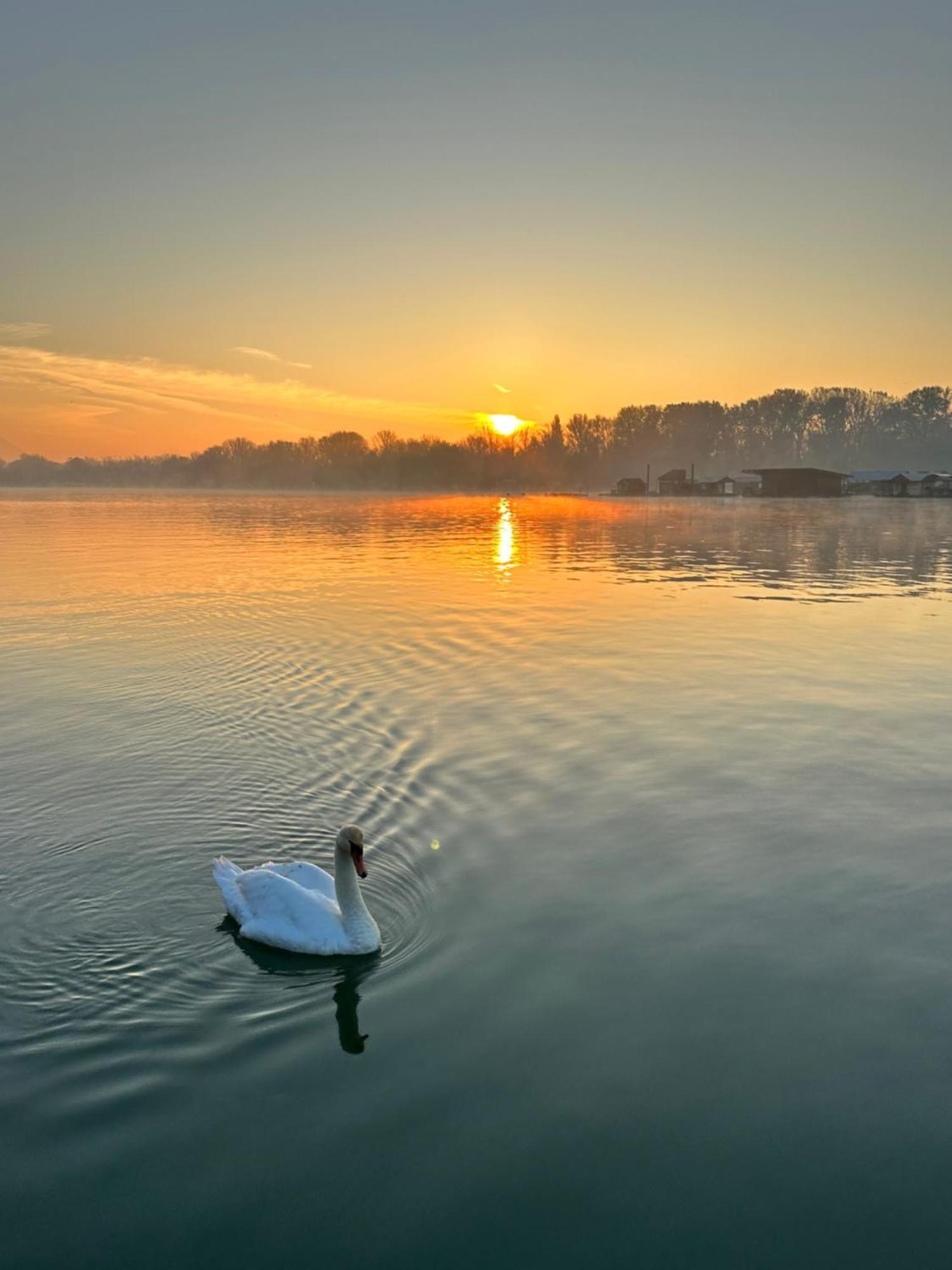 Swan Hotel Belgrade Luaran gambar